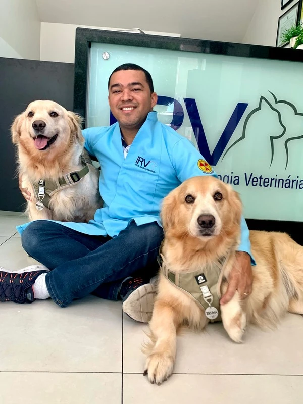 Clínica veterinária com ultrassom