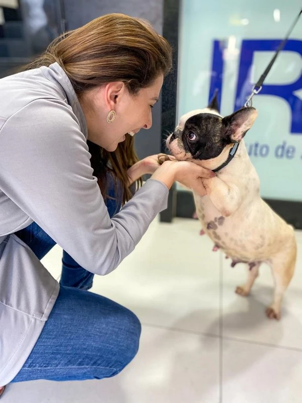 Ecodopplercardiograma veterinário em Natal