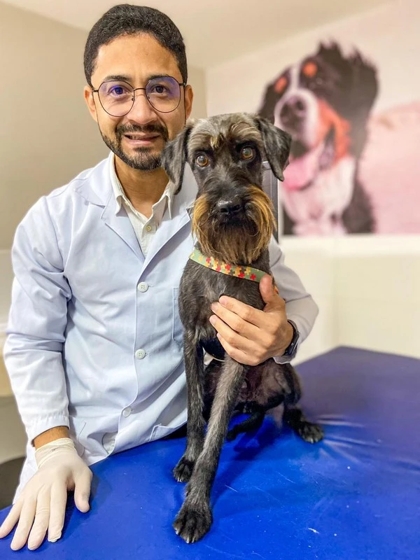 Radiologia veterinária móvel​ no Rio Grande do Norte