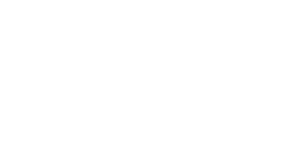 Instituto de Radiologia Veterinária LTDA
